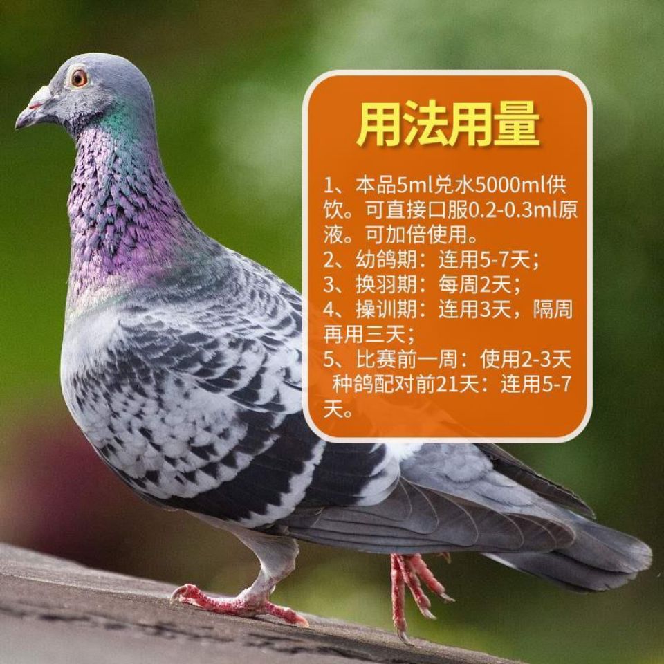 汉诺威鸽药钙磷精华液赛信鸽强化骨骼补充磷钙液软骨脚营养保健品,淘宝优惠券,粉丝福利购,淘宝优惠卷