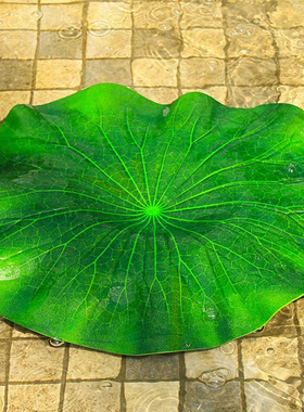 水面造景道具漂浮鱼缸睡莲摆件