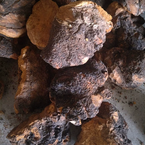 Березовая слеза дикая даксинганлинга 500 г бело -березовые дерево бархат настоящий натуральный березовый коричневый гриб не -Чанбайя гора Россия