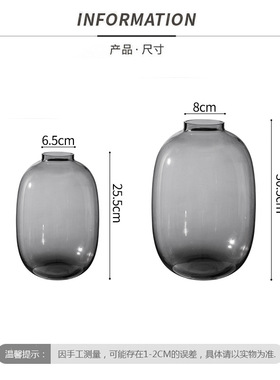 小众吊钟水培玻璃花瓶圆肚子轻奢侘寂风花瓶插花感客厅摆件