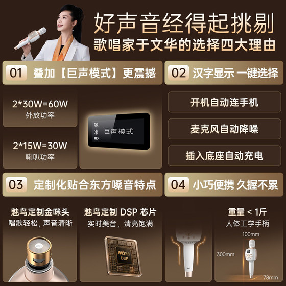 Meiniao microphone audio integrated microphone wireless home KTV singing karaoke live sound card