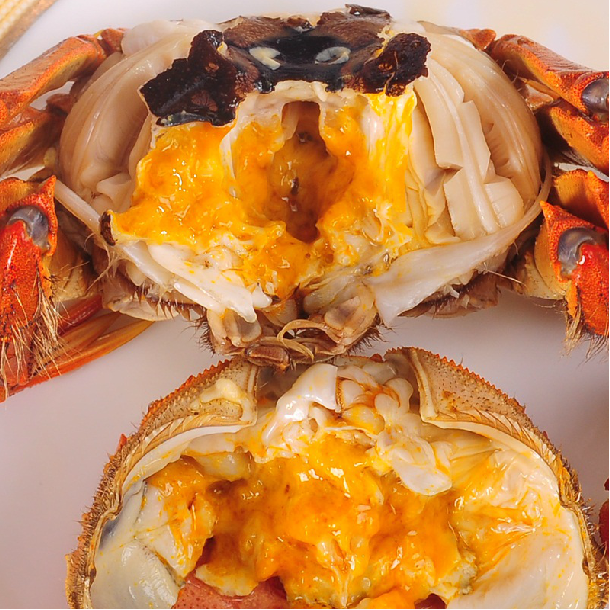 真正特大号残蟹2.7斤净重公蟹大闸蟹残蟹鲜活螃蟹残次蟹断脚蟹7只,淘宝优惠券,粉丝福利购,淘宝优惠卷