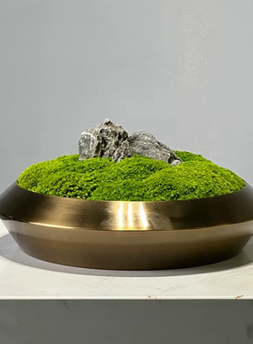 新中式样板房售楼处茶室茶几仿真绿植苔藓盆景组合装饰摆件