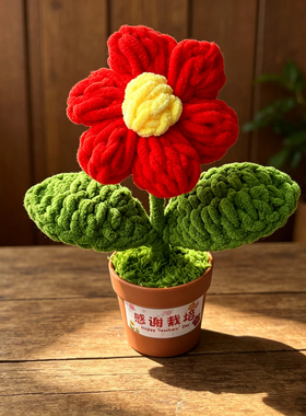 成品毛线编织花束手工钩织小花盆栽家居桌面摆件仿真花送教师礼物