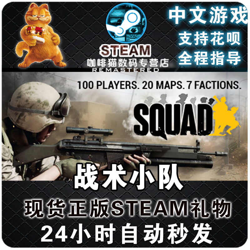 STEAM PC正版中文 Squad 战术小队 行动小组 阿区/土区/国区/俄区/印度全球激活码 礼物/成品号 - 图1