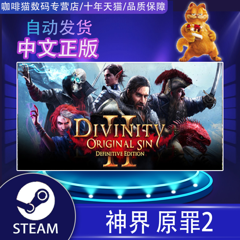 PC正版 Steam游戏 中文  神界原罪2  Divinity:Original Sin 2  国区礼物 丨成品号 印度/俄区阿区土区 - 图0