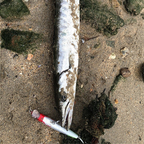 海南钓gt牛港专用广东广西浮水米诺路亚饵26克狼鲈鱼翘嘴侍魂假饵 - 图3