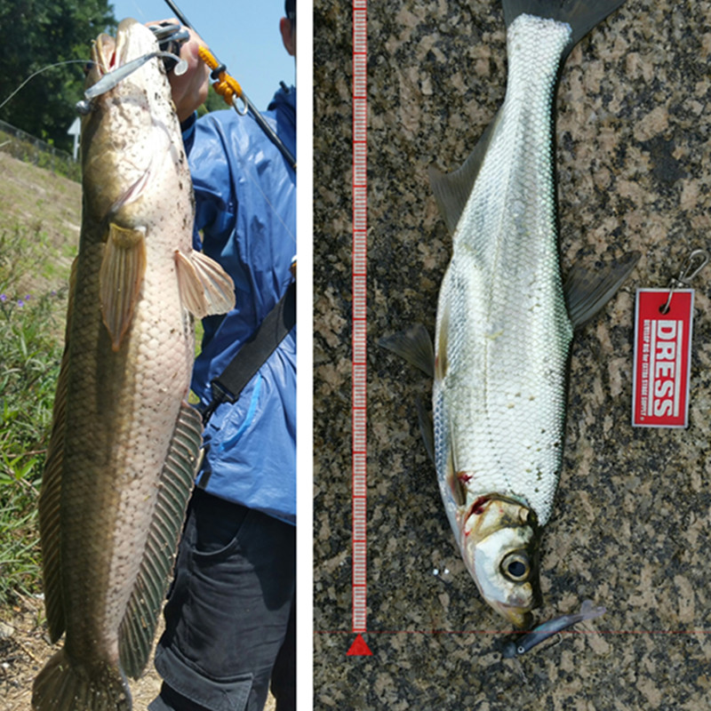 路亚软饵T尾鱼针浮水东海南油铁板钩青物内德钓组金枪鱼黑坑假饵-图2