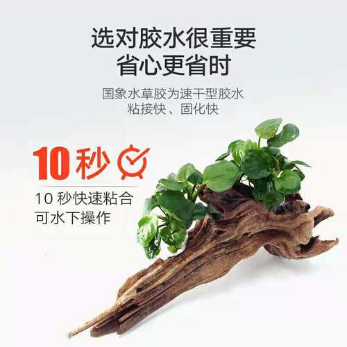 国象水草胶莫斯鱼缸造景结构骨架慕斯透明水族专用胶 - 图0