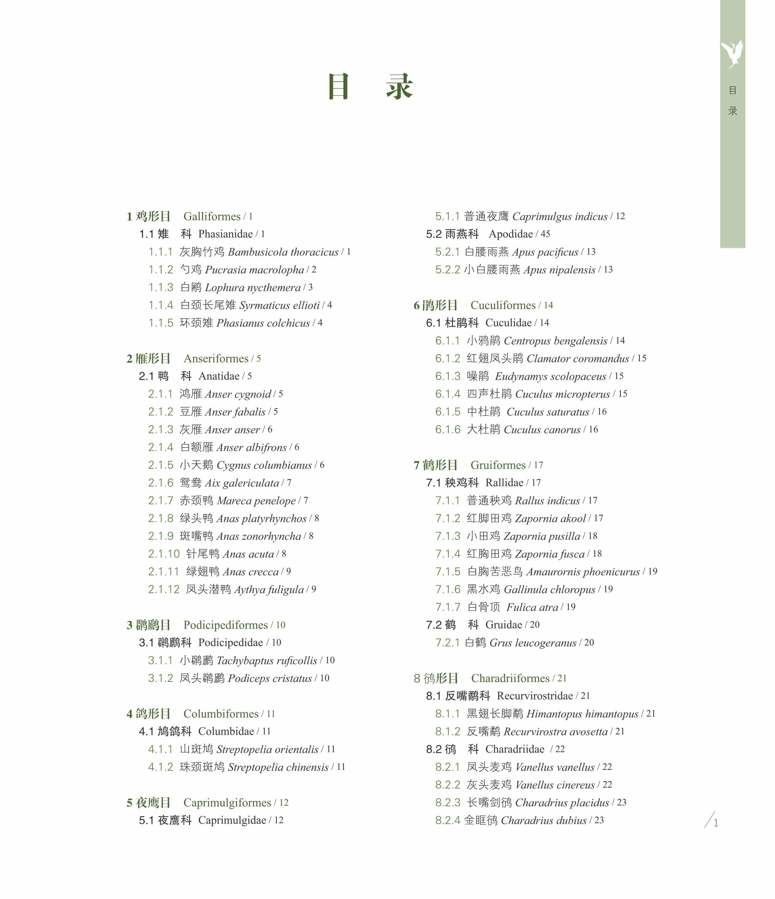 钱江源国家公园鸟类图鉴/汪长林/钱海源/余建平/浙江大学出版社 - 图0