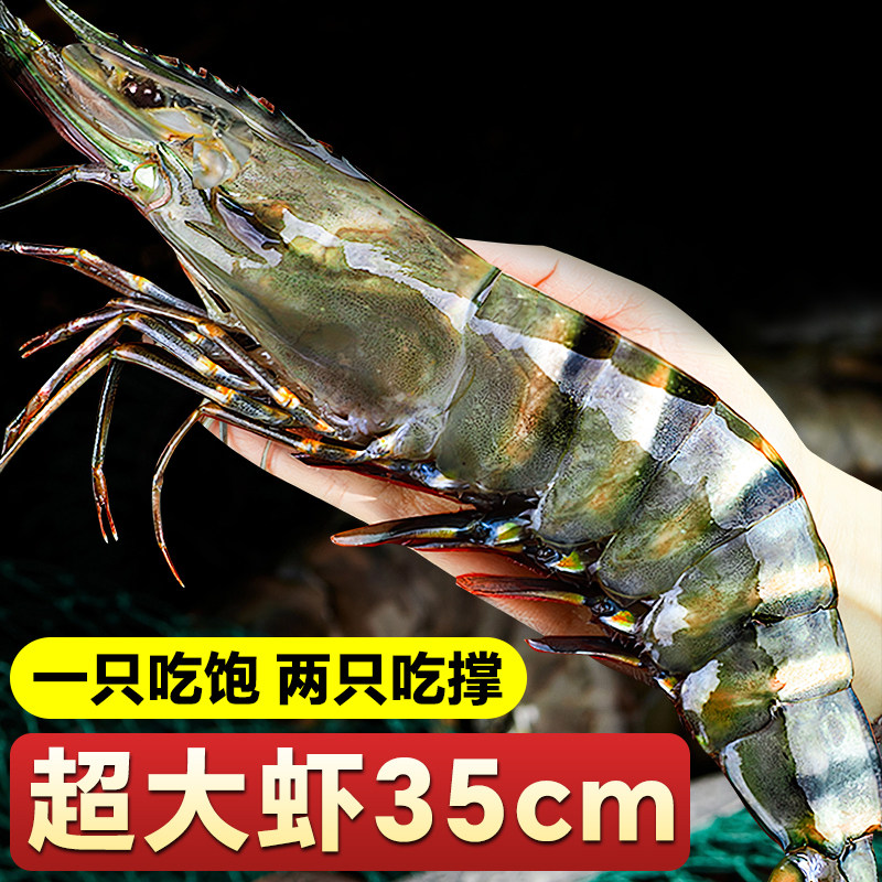 黑虎虾鲜活超大速冻新鲜大海虾老虎虾冷冻基围虾特大海鲜水产商用,淘宝优惠券,粉丝福利购,淘宝优惠卷