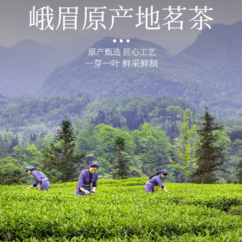 峨眉雪芽春喻睿毛峰绿茶峨眉山高山春茶茗茶罐装茶叶自己喝,淘宝优惠券,粉丝福利购,淘宝优惠卷