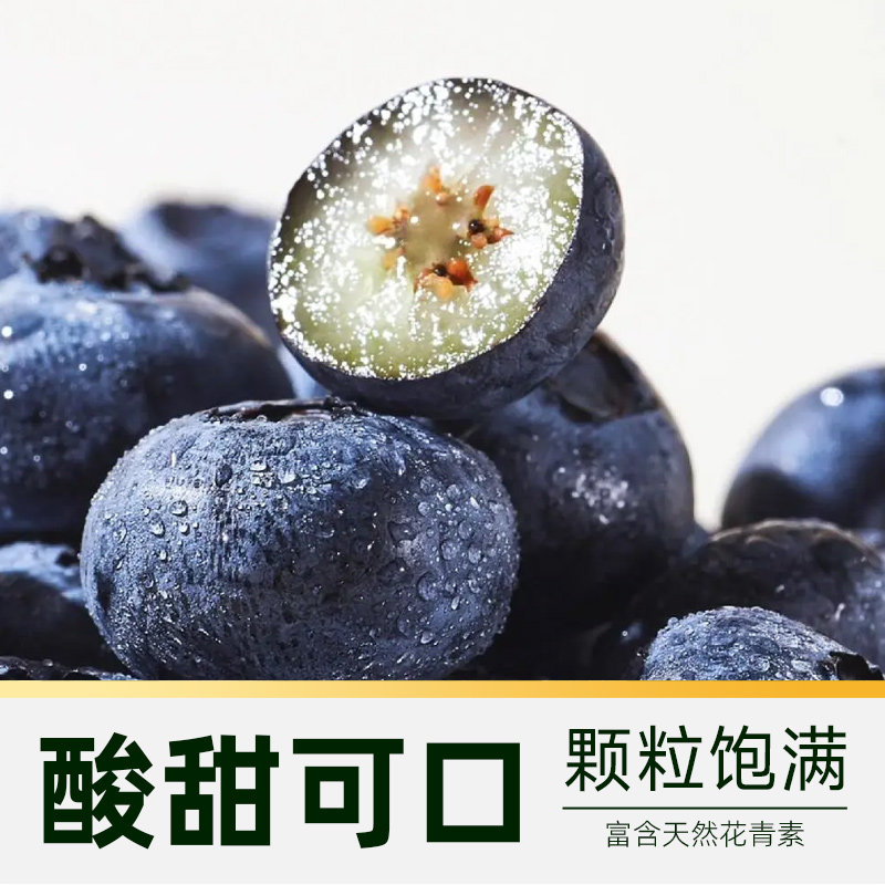 当季四川大凉山新鲜花香蓝莓脆甜大果新鲜水果