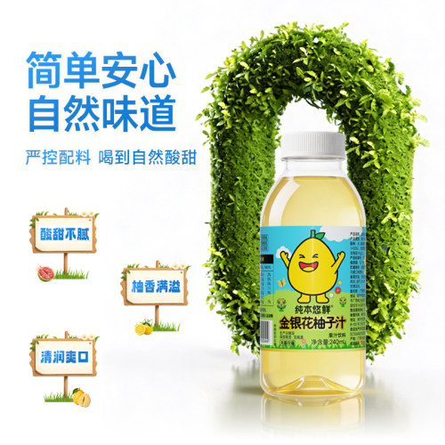 纯本悠鲜金银花柚子汁240mlx10瓶装儿童礼盒装整箱夏季果汁饮料 - 图0
