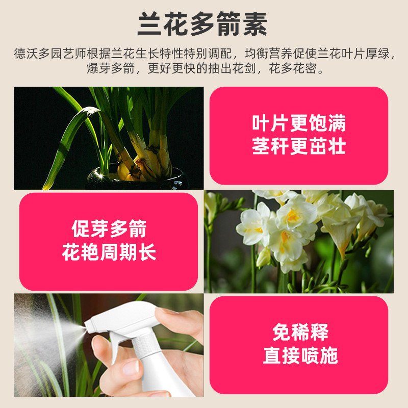 德沃多兰花多箭素兰花专用营养液爆芽素菌肥兰灵王蝴蝶兰肥料包邮,淘宝优惠券,粉丝福利购,淘宝优惠卷