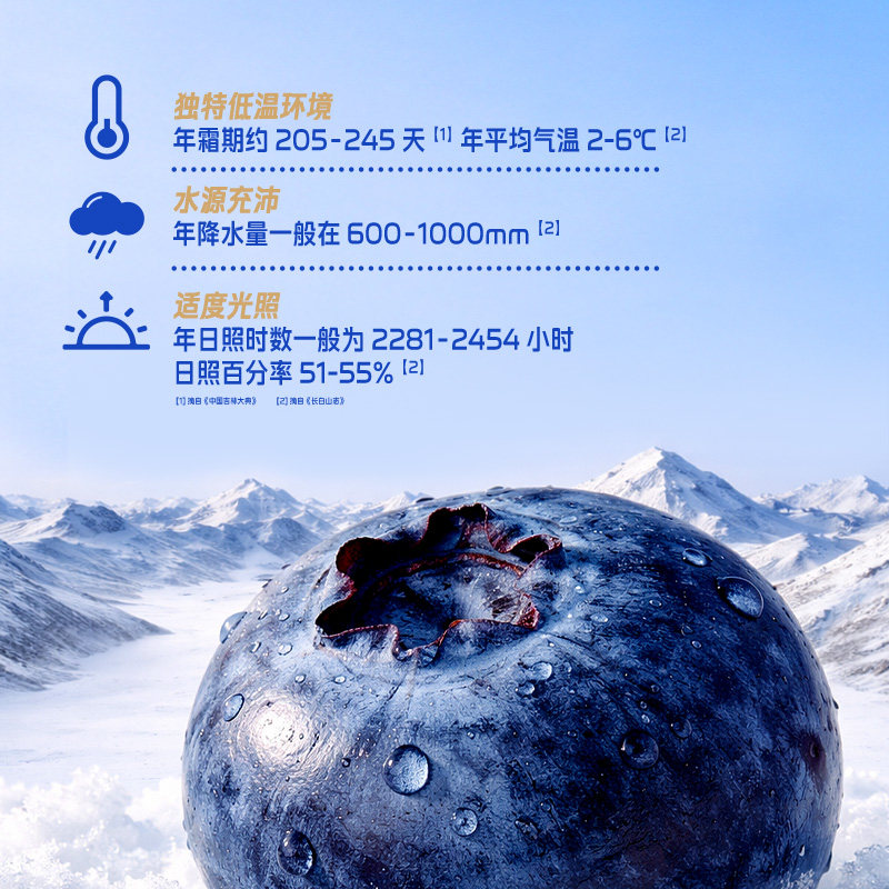 【明星同款】伊利安慕希利乐冠整颗蓝莓酸奶200g8盒