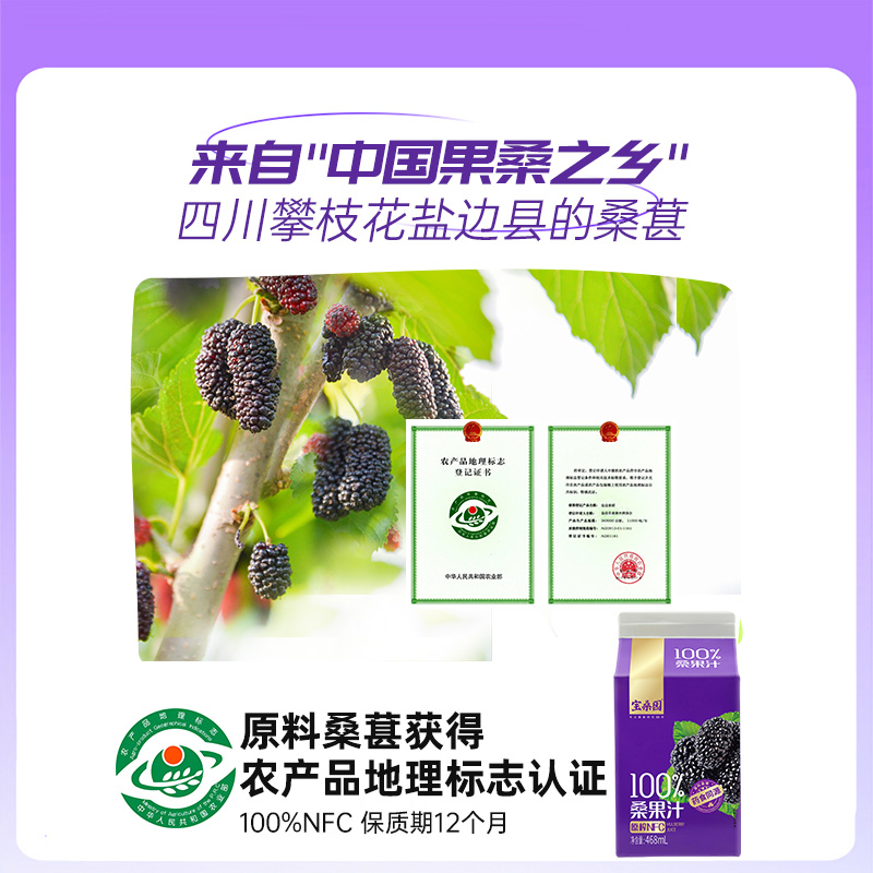 宝桑园100%桑葚汁农科甄品NFC果汁468ml*12盒纯桑果汁果蔬饮礼盒 - 图2