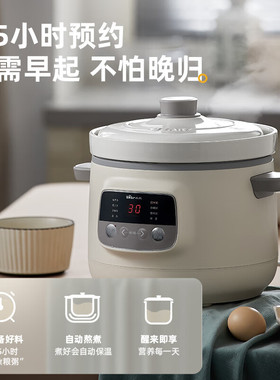 Bear小熊陶瓷胆电炖锅智能菜单3L