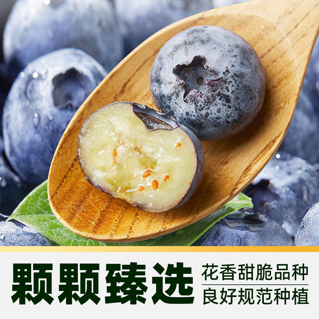 佳沃云南晚熟高山蓝莓中果/大果礼盒装当季孕妇新鲜水果