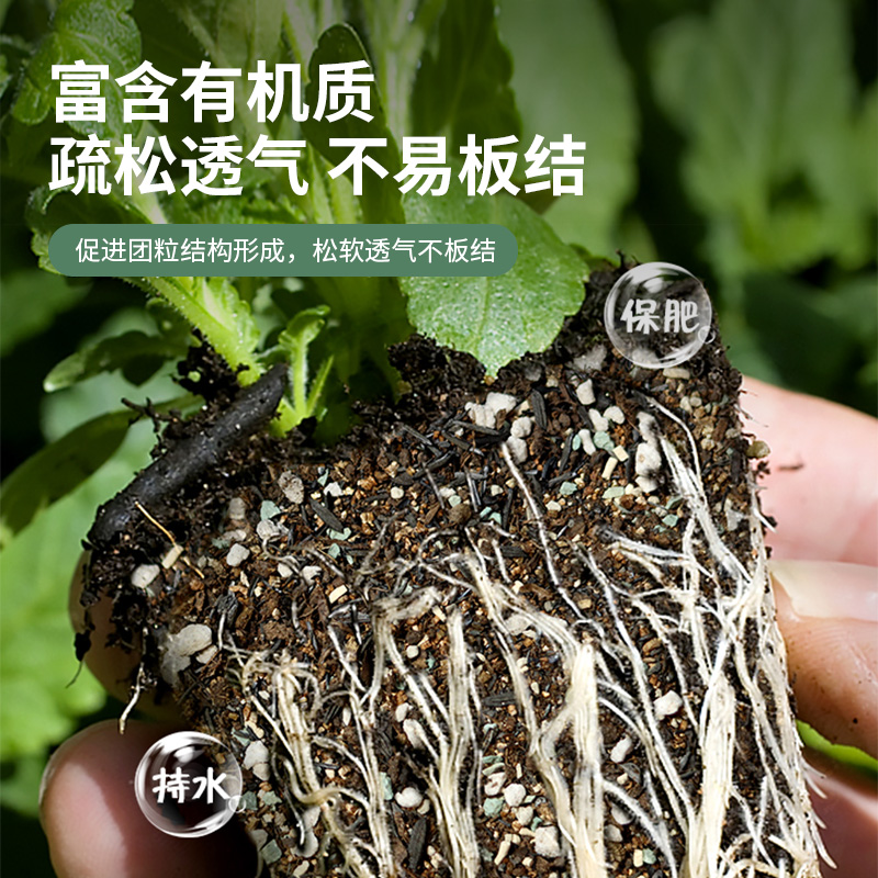 【一件包邮】德沃多养花专用土月季花玫瑰花泥炭土通用型家用种花-图3