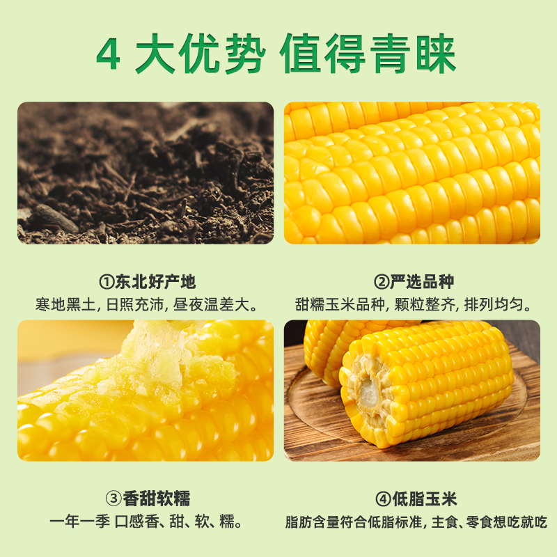 包邮!十月稻田黄糯玉米220g*8玉米早餐粗粮低脂粘黏甜软新鲜苞米 - 图1