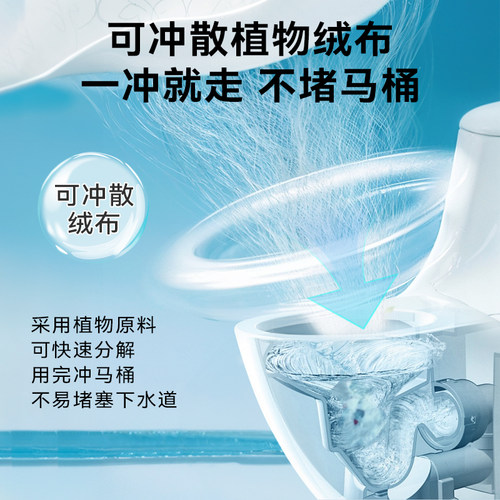 hpv马桶消毒湿巾清洁擦马桶坐垫湿纸巾0酒精卫生间厕所座圈盖擦拭 - 图2
