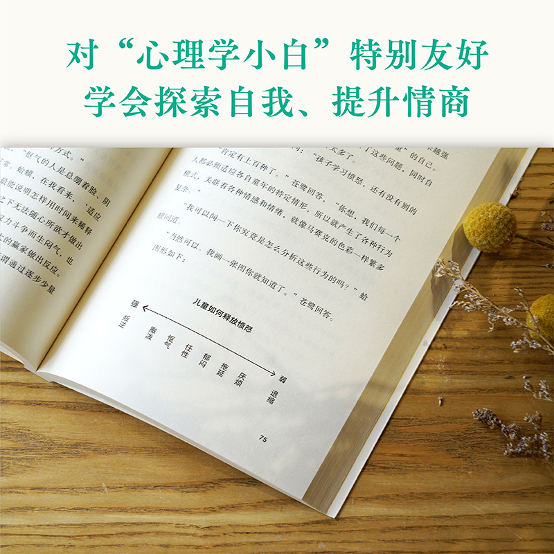 正版包邮 蛤蟆先生去看心理医生英国经典心理咨询心理学入门书籍 - 图1