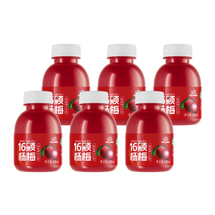 扬百利仙居杨梅汁245ml*6瓶/箱