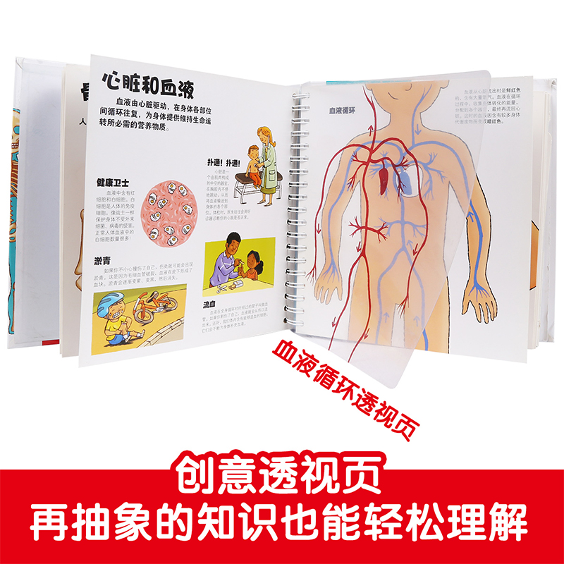 我们的身体3d立体绘本乐乐趣科普揭秘翻翻书3-12岁性启蒙新华书店 - 图1