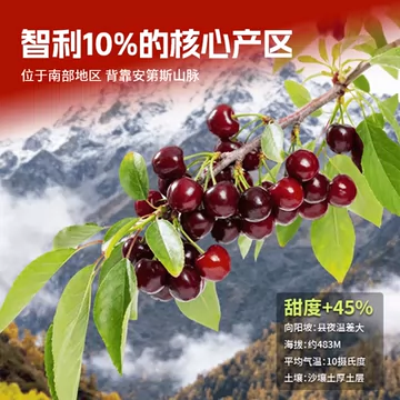 兴果里智利进口车厘子3j5斤[50元优惠券]-寻折猪