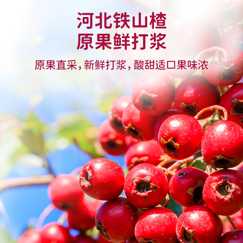 小鹿蓝蓝益生元山楂鸡内金糖葫芦山楂棒桑葚蓝莓味220g儿童零食