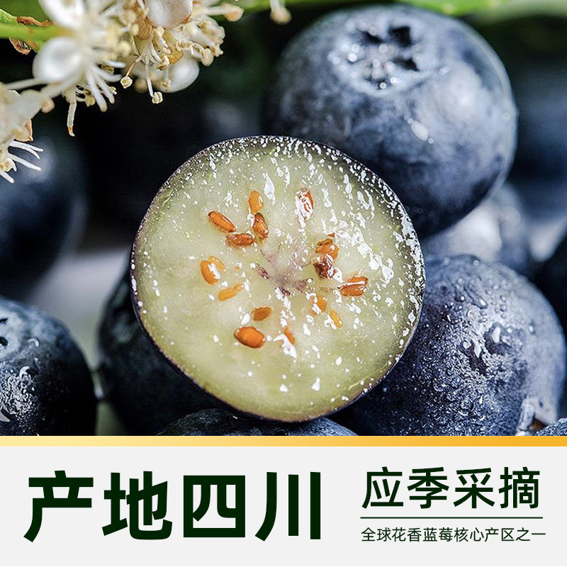 当季四川大凉山新鲜花香蓝莓脆甜大果新鲜水果