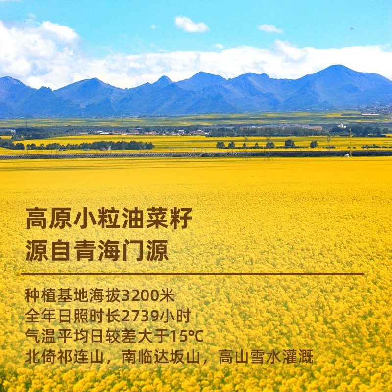 长安花原香物理压榨菜籽油非转基因纯菜油家用食用油5L*2,淘宝优惠券,粉丝福利购,淘宝优惠卷