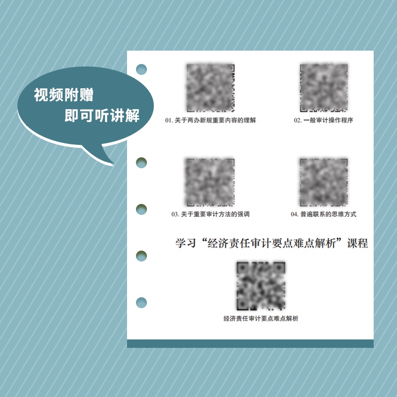 行政单位经济责任审计实务指南 普华审计实务工具书系列 财务会计 - 图1