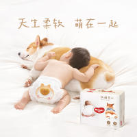 拍6件！35.9件！好奇柯基软萌星人