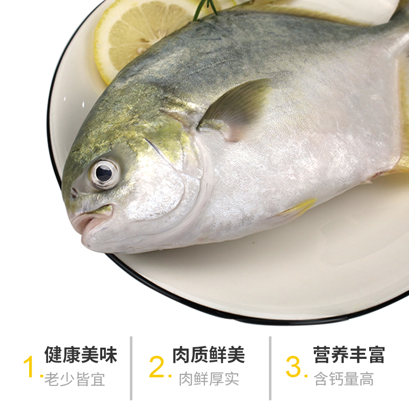 环球水产金鲳鱼700g 2条 BAP认证生鲜 鱼类深海鱼 健康轻食 - 图1