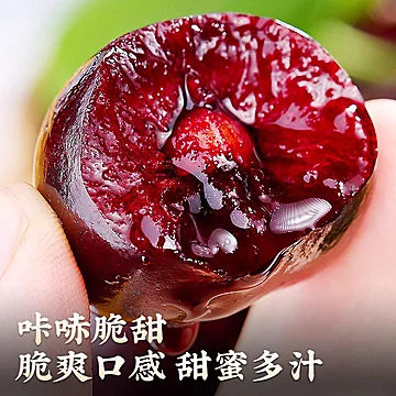 智利车厘子新鲜水果当季整箱礼盒2J[30元优惠券]-寻折猪
