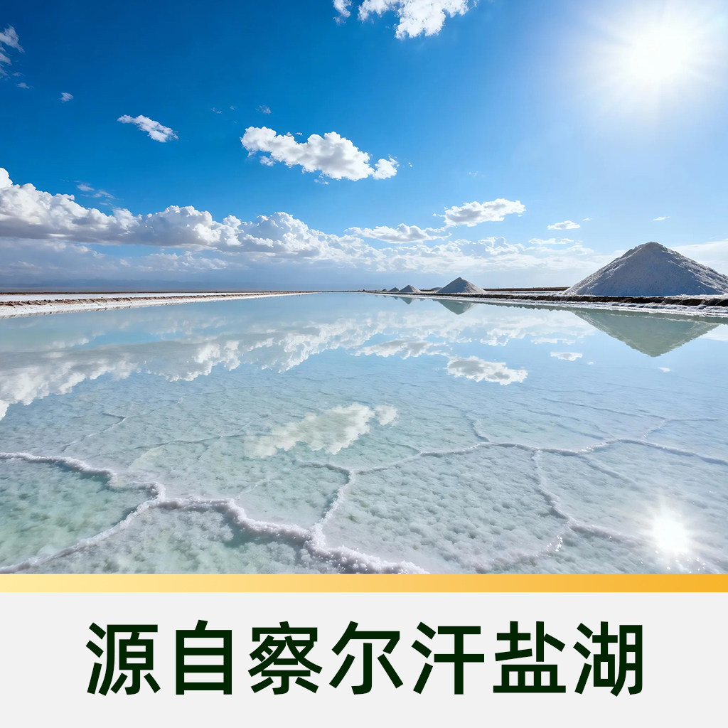 臻选 雪天盐未加碘青海湖盐食用盐调料家用炒菜细盐罐装盐300g