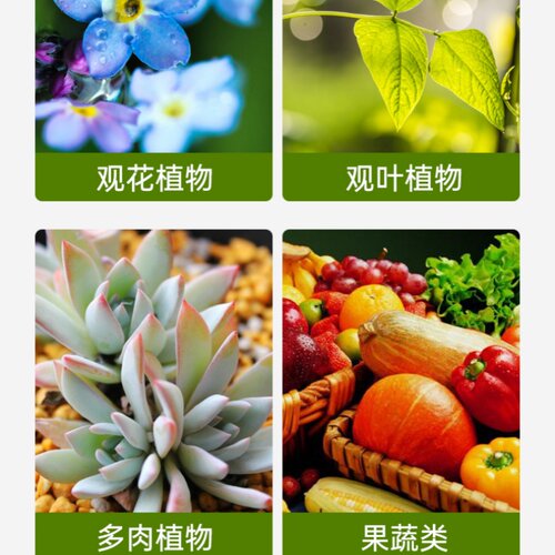 铺面石多肉专用颗粒土植物营养土花盆栽透气麦饭石陶粒火山石蛭石 - 图3