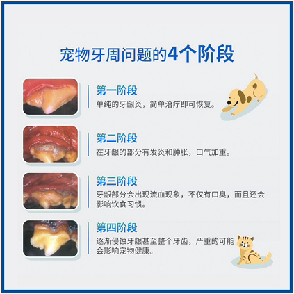 商品缩略图 3