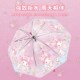 Sanrio Melody children's umbrella automatic transparent umbrella