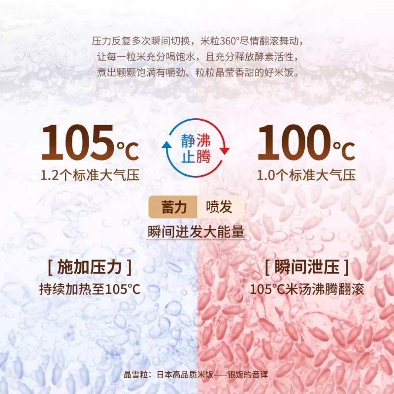 松下饭之舞电饭煲家用智能日本IH压力锅多功能小型电饭锅HZ102,淘宝优惠券,粉丝福利购,淘宝优惠卷