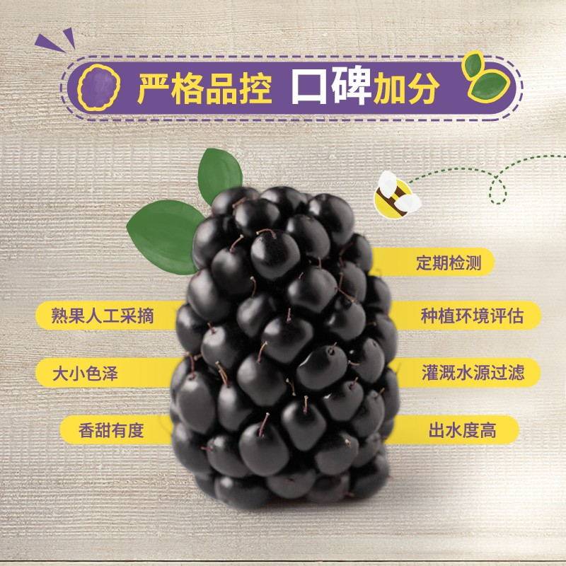 【下拉详情领补贴】Driscolls怡颗莓云南黑莓新鲜应季水果酸甜,淘宝优惠券,粉丝福利购,淘宝优惠卷
