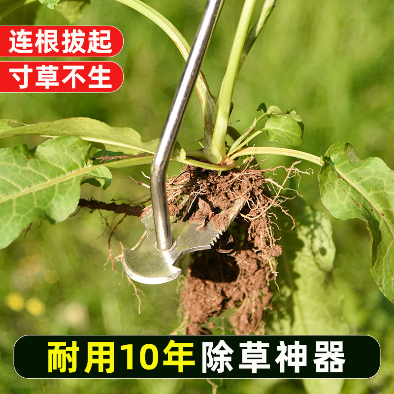 深邦拔草器除草神器挖野菜的小铲子不锈钢耙子松土园艺工具铲草-图0