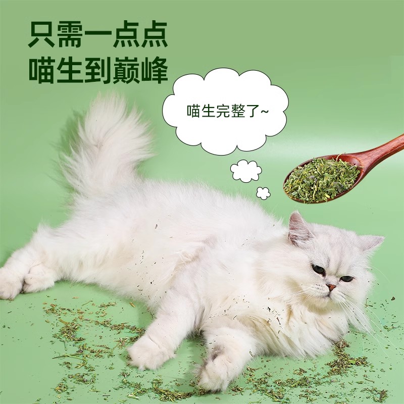 咪零食天然猫薄荷木天蓼叶猫咪野菜宠物预防结石洁齿排除毛球-图0