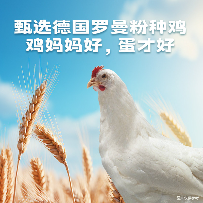 图 4