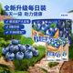 三只松鼠每日蓝莓干内含独立小包盒装健康每日坚果干蜜饯果脯烘焙