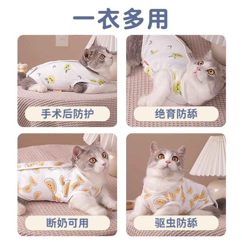 猫咪绝育服猫衣服薄款宠物蓝猫布偶母猫术后服手术衣防掉毛春秋款-图1