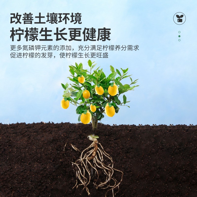 【一件包邮】诺德柠檬树肥料专用肥营养液植物果树树苗复合家用 - 图2