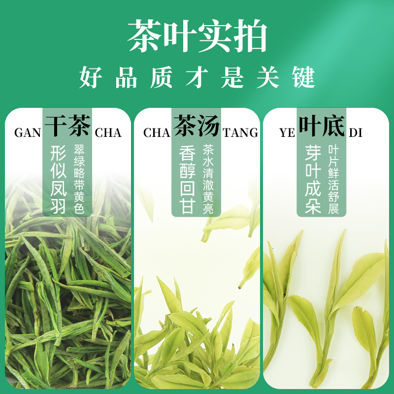 承艺正宗新茶茶叶绿茶安吉珍惜白茶雨前一级春茶100克 - 图1